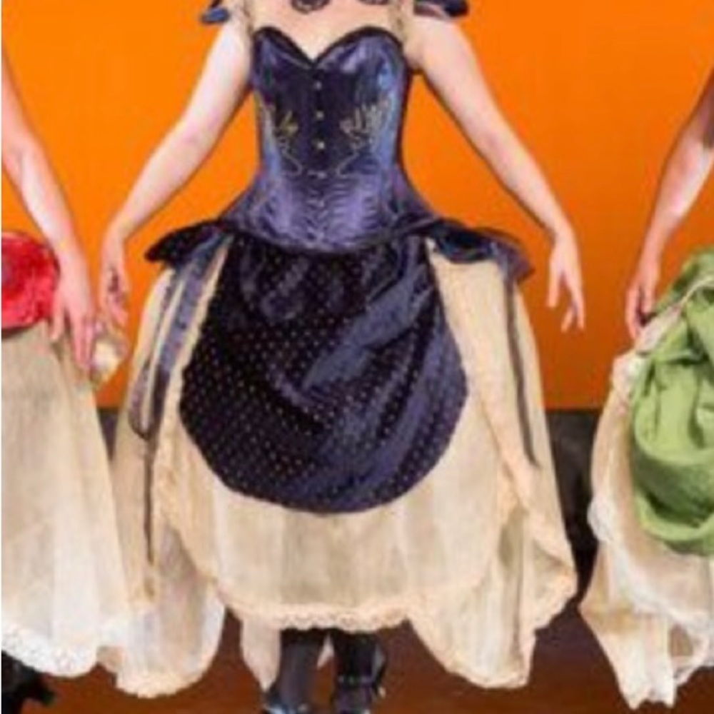Blue and gold victorian cage style dress